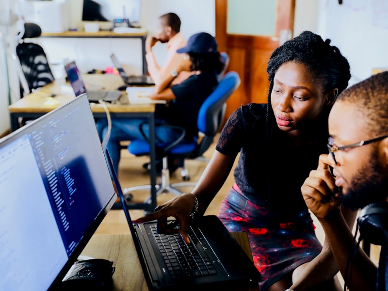 Software development teamwork