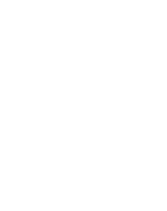 Zephyrix